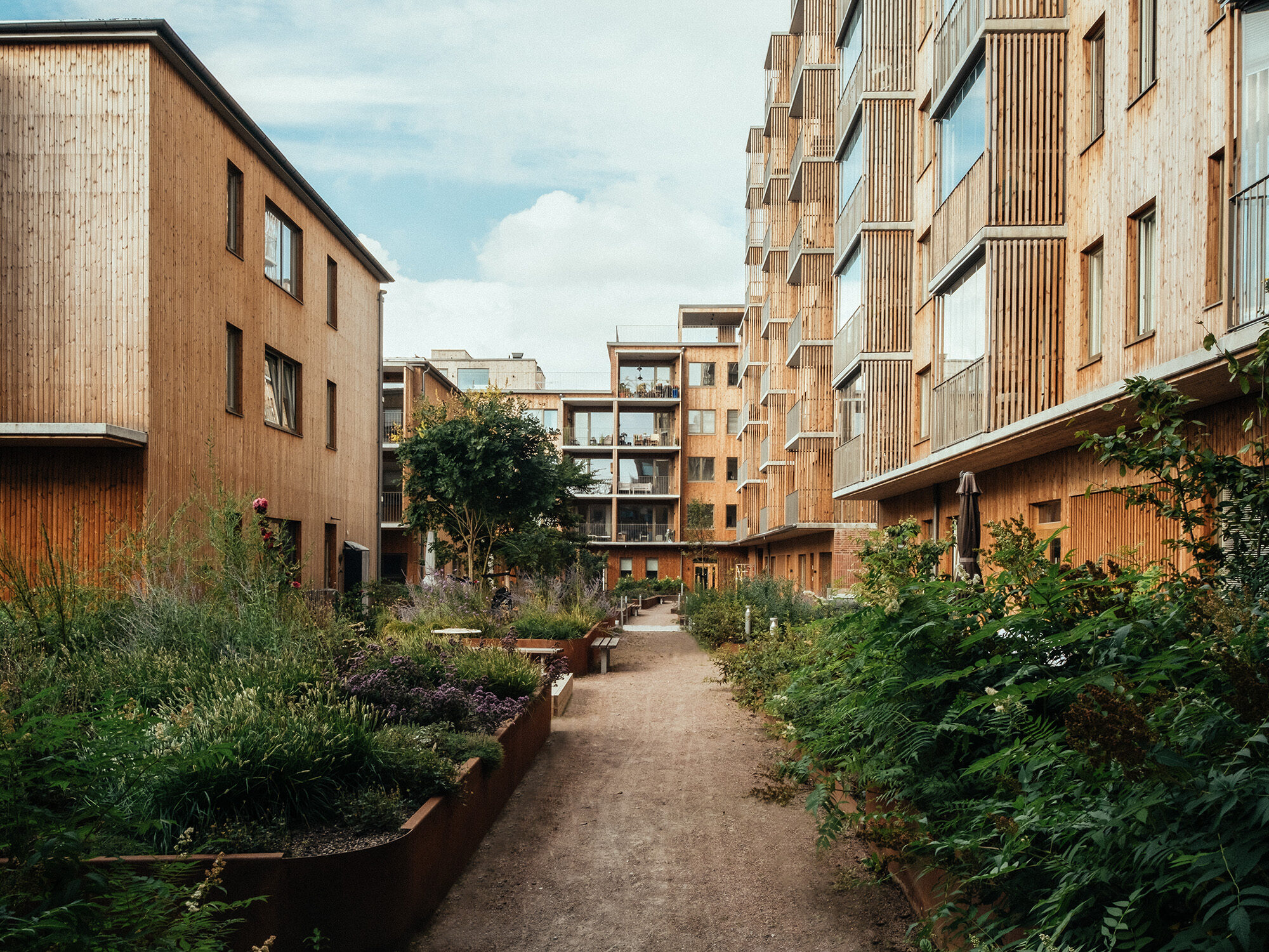 Foto_Martin Martinsson_vy 3 gård