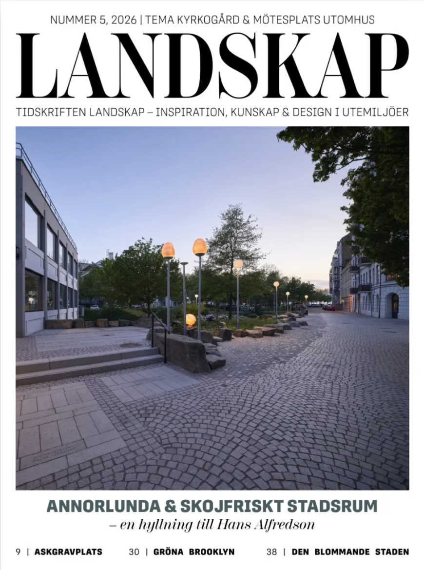 bild (5)